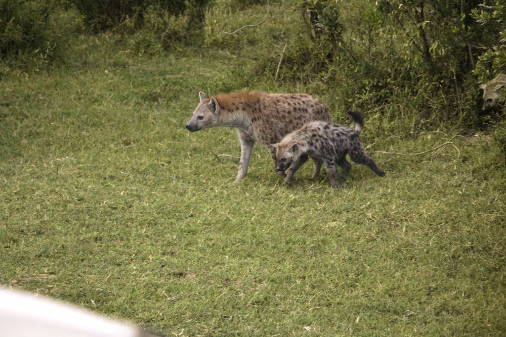 kenya memory 1