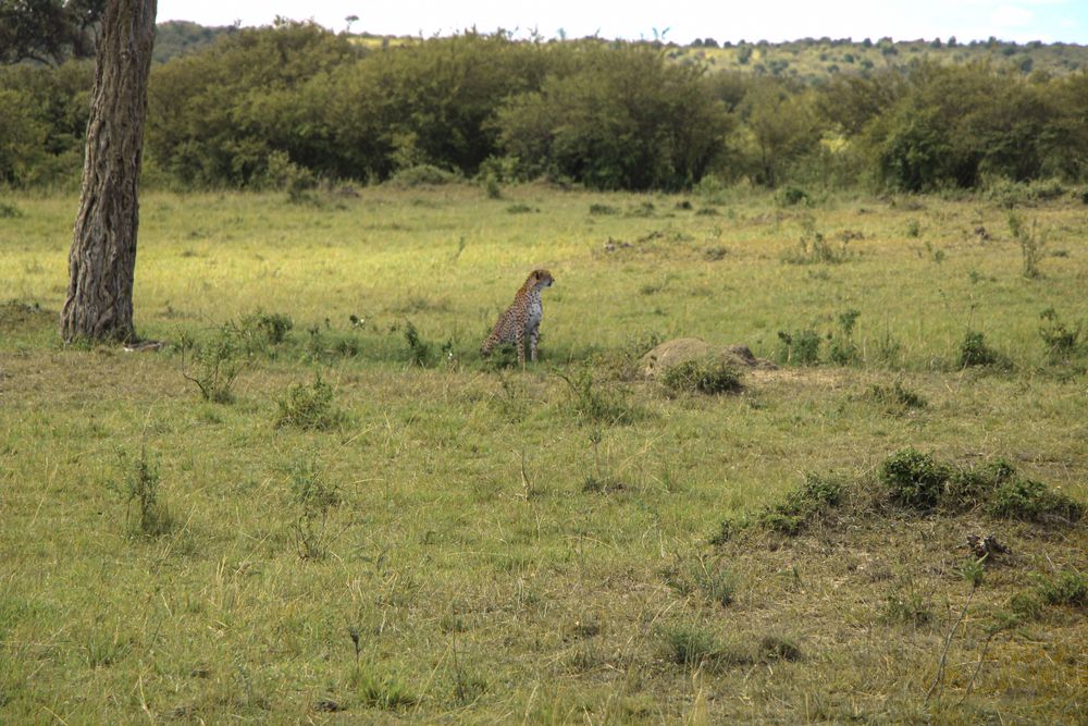 kenya memory 3